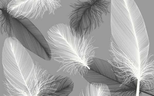 Pene delicate în monocromie moale. Pene delicate în monocromie moale.