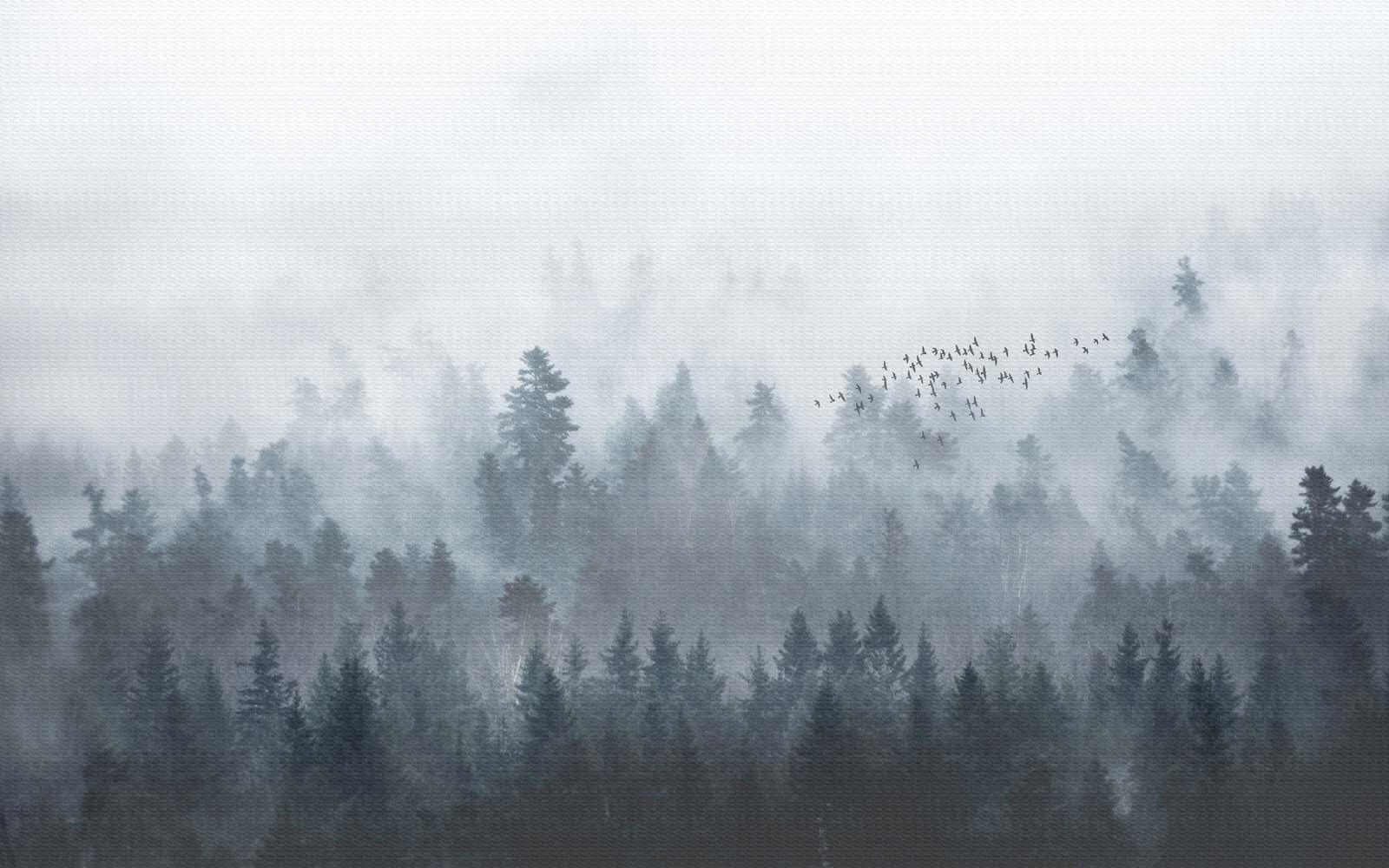 Grup de păsări care zboară deasupra unei păduri u16629p - Grup de păsări care zboară deasupra unei păduri - tegory