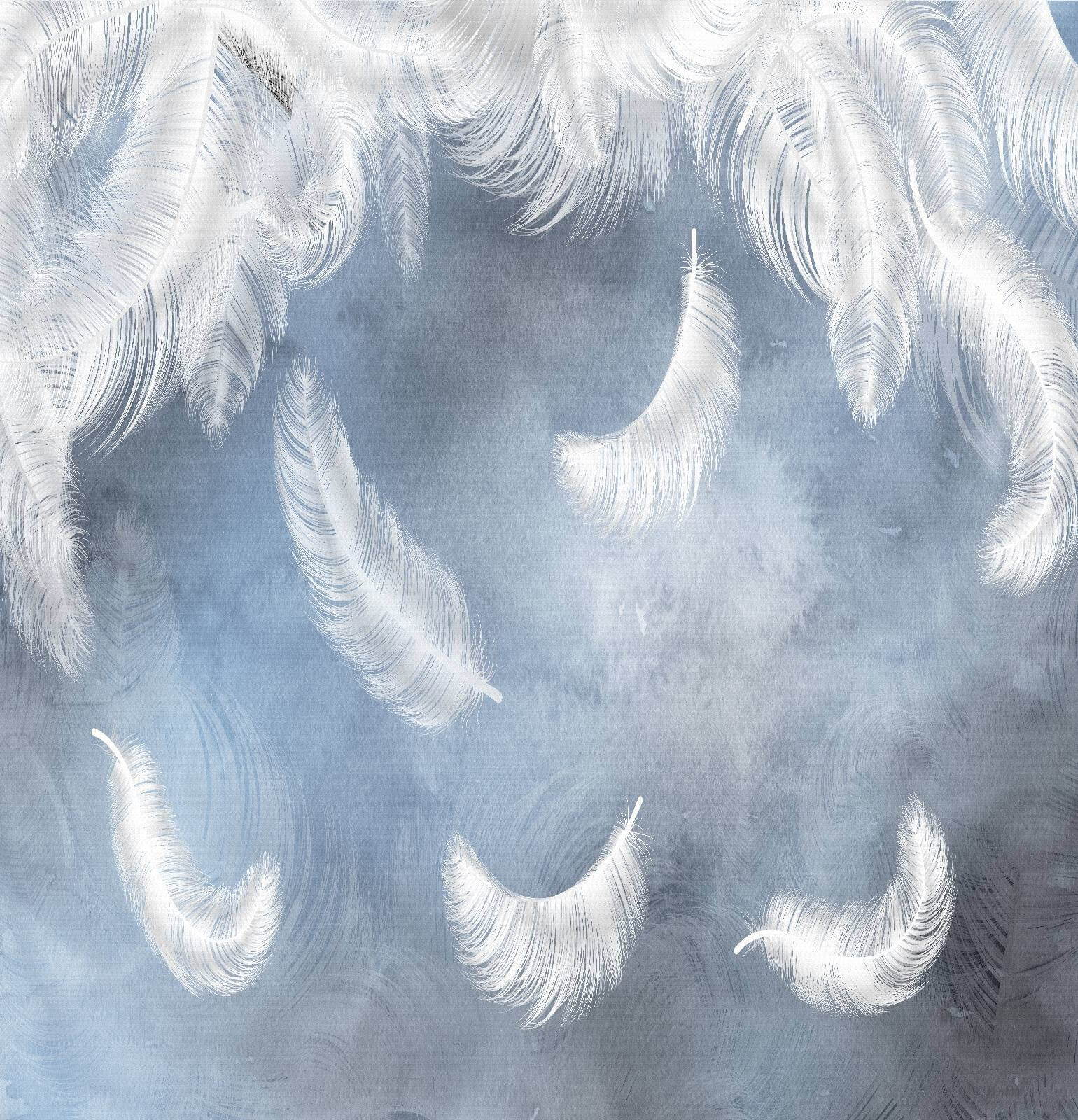 Pene albe pe un fundal albastru u23747p - Pene albe pe un fundal albastru - tegory