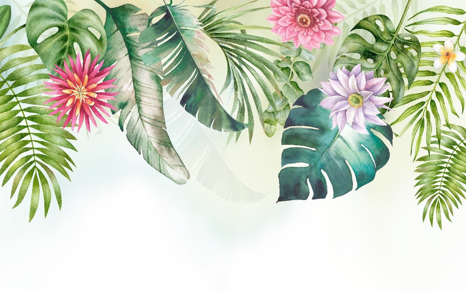 Florile proaspete și verdele vibrant îmbrățișează u29530p - Florile proaspete și verdele vibrant îmbrățișează - tegory