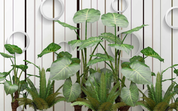 Plante cu frunze verzi Plante cu frunze verzi