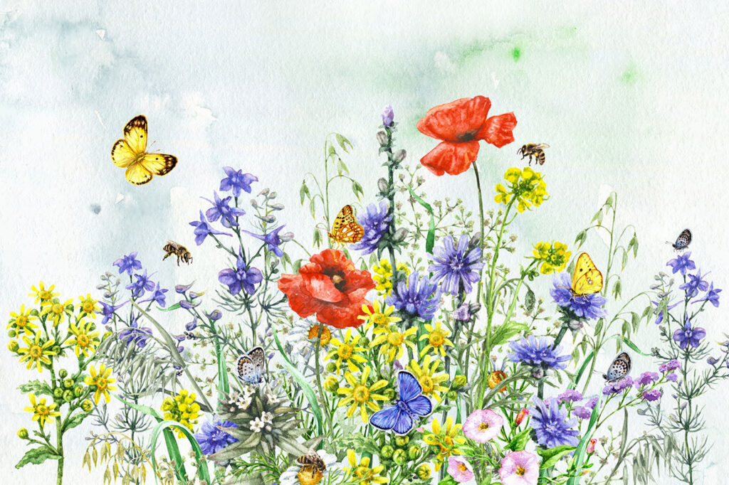 Pictura de flori și fluturi Pictura de flori și fluturi