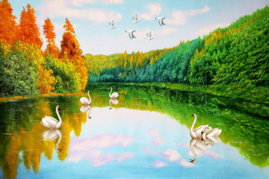 Pictură de lebede pe un lac