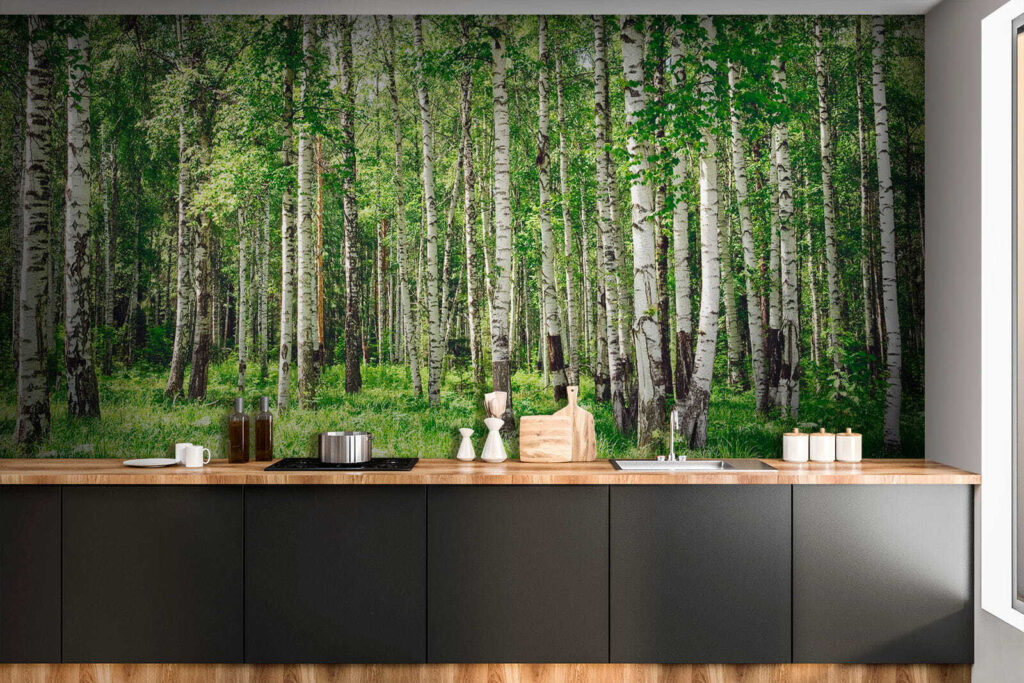 Group of trees in a forest