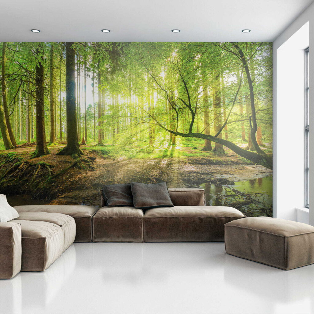 Stream in a forest Stream in a forest