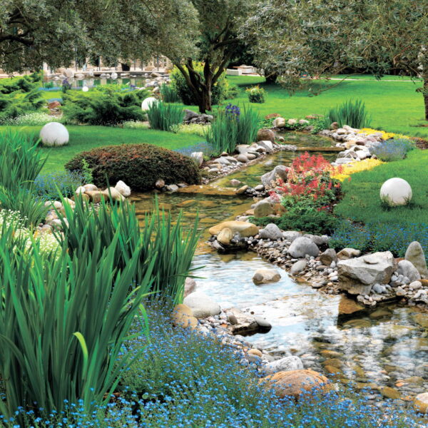 Râul curge printr-un parc Râul curge printr-un parc