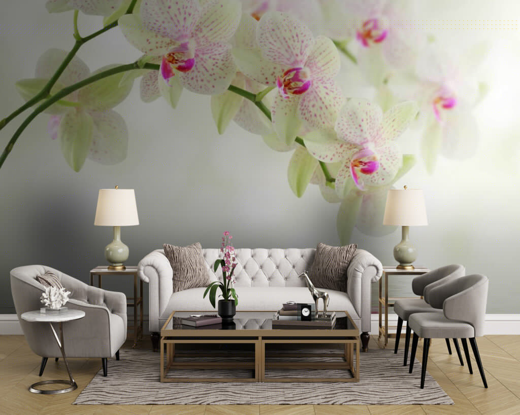 Delicate orchids over gentle water Delicate orchids over gentle water