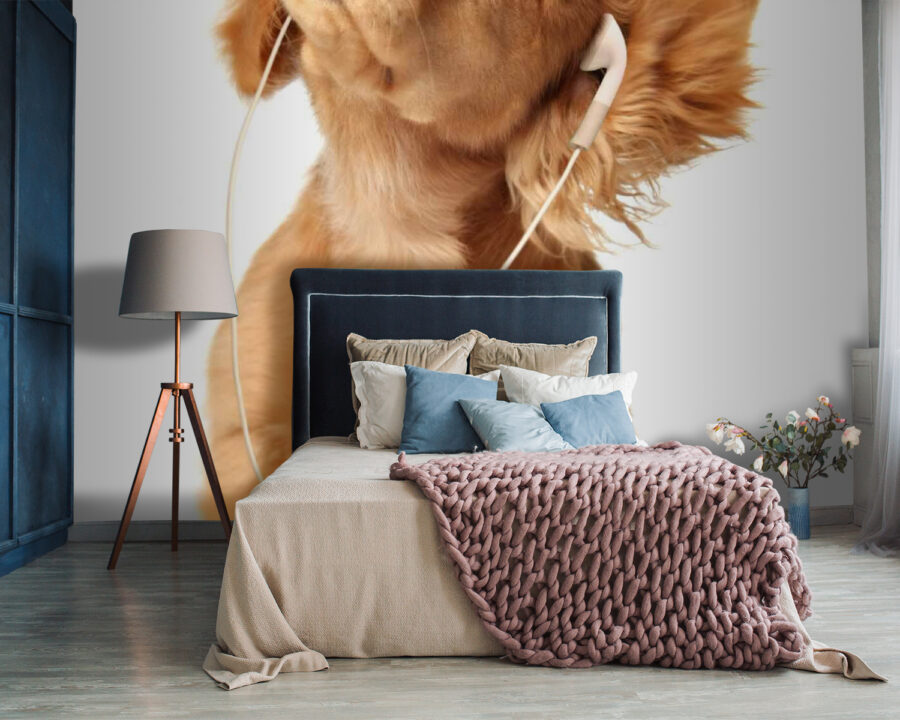 Câine cu căști pe urechi u56551pib87 900x720 - Câine cu căști pe urechi - tegory