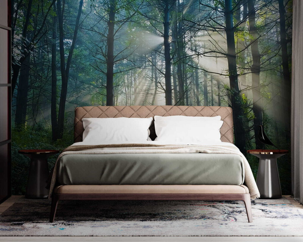 u70959pib1m 1024x819 - Soarele strălucește printre copacii dintr-o pădure - tegory