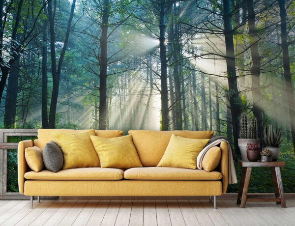 u70959pig1 600x460 - Soarele strălucește printre copacii dintr-o pădure - tegory