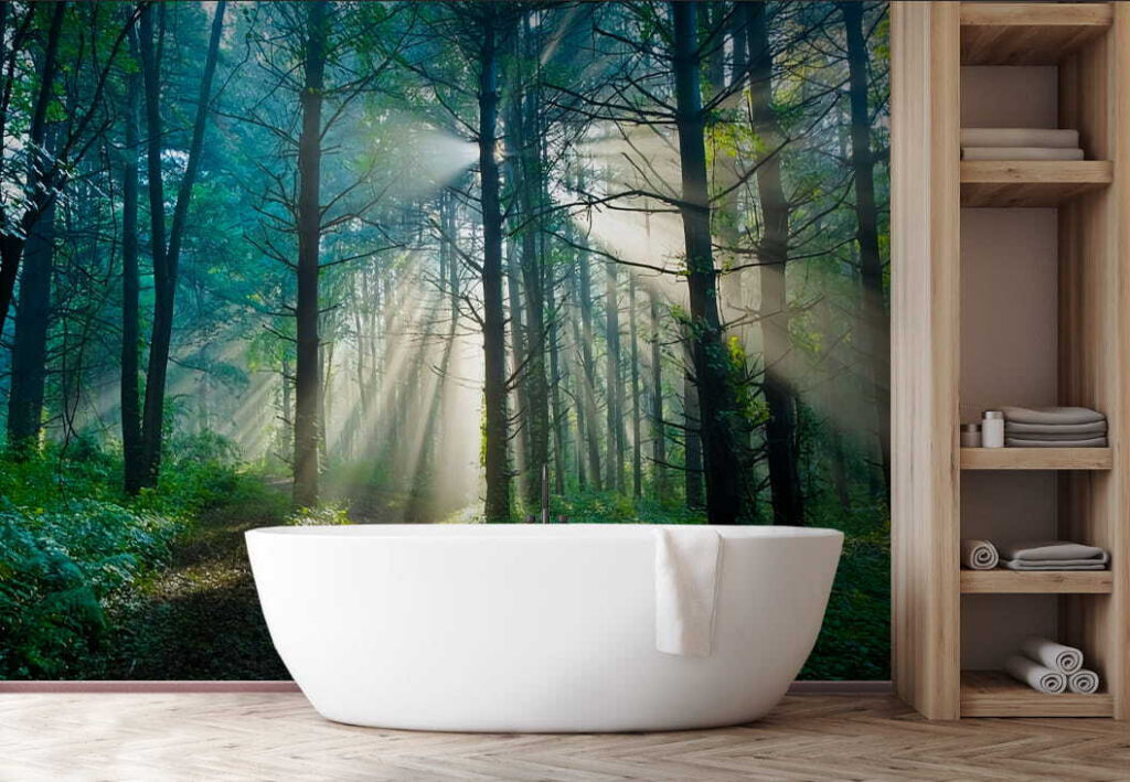 u70959pit1 1024x709 - Soarele strălucește printre copacii dintr-o pădure - tegory