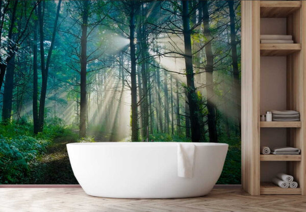 u70959pit1 600x416 - Soarele strălucește printre copacii dintr-o pădure - tegory