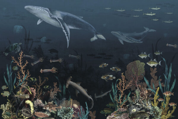 Grup de pești și balene înotând în ocean Grup de pești și balene înotând în ocean