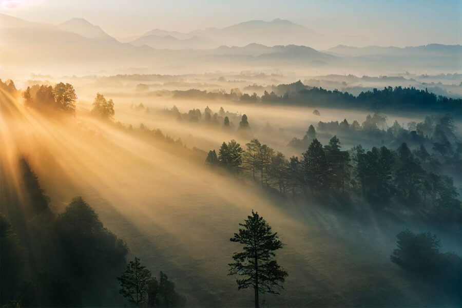 Fototapet Soarele strălucește printre copaci - imagine 4