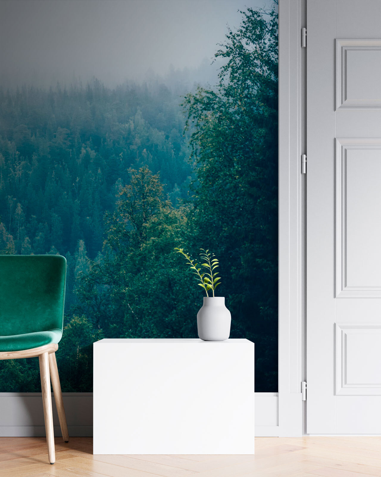 u74236pih1m - Pădure de copaci cu ceață - tegory