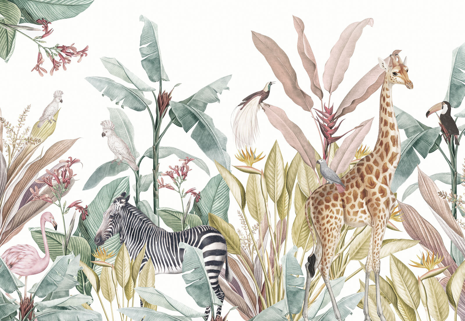 Wallpaper with zebras and birds