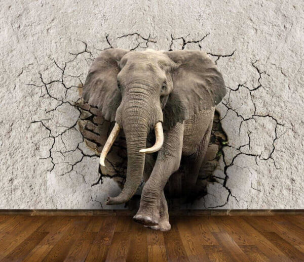 Un elefant care trece printr-un zid Un elefant care trece printr-un zid