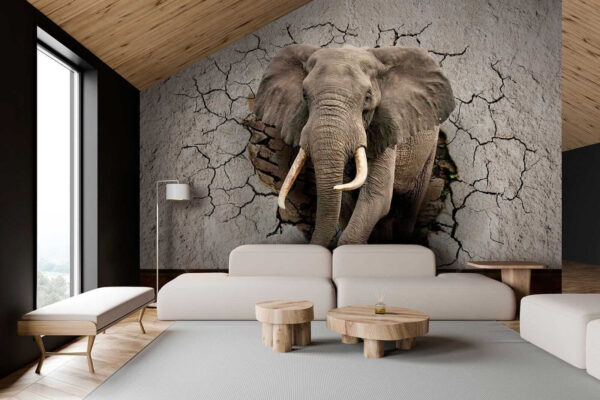 Un elefant care trece printr-un zid Un elefant care trece printr-un zid