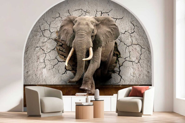Un elefant care trece printr-un zid Un elefant care trece printr-un zid