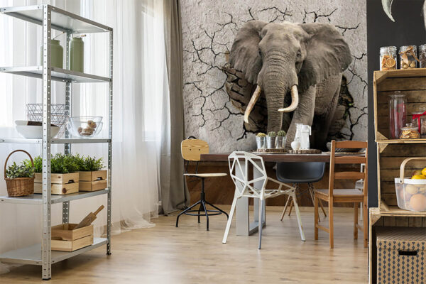 Un elefant care trece printr-un zid Un elefant care trece printr-un zid