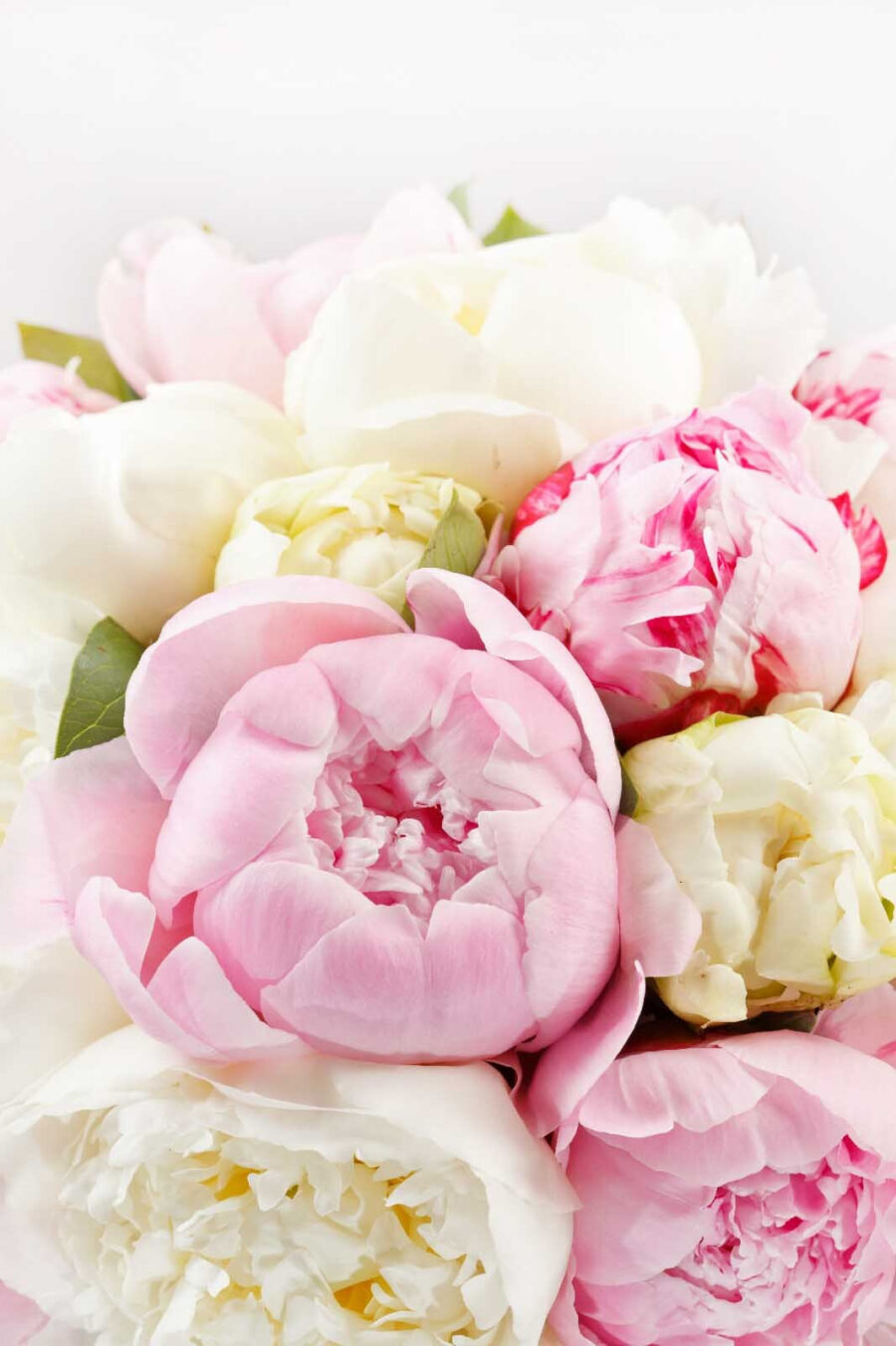 Buchet de flori roz și albe