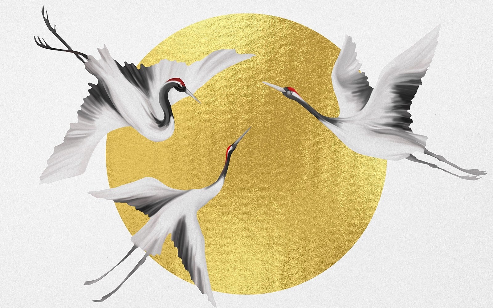 Group of birds flying in the air Group of birds flying in the air