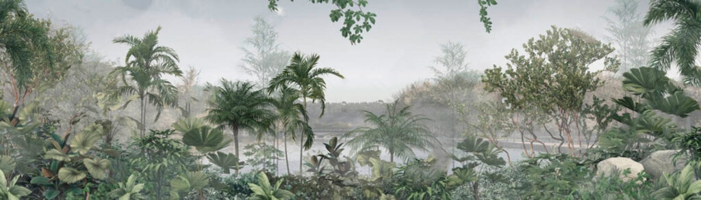 Wall murals Serene morning in lush greenery Wall murals Serene morning in lush greenery