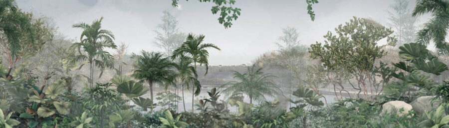 Wall murals Serene morning in lush greenery Wall murals Serene morning in lush greenery