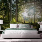 Fototapet Soarele strălucește printre copaci