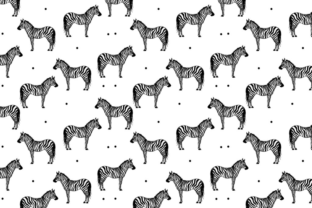 A pattern of zebras on a white background