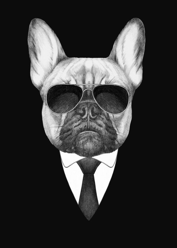 Un câine care poartă ochelari de soare și un costum Un câine care poartă ochelari de soare și un costum