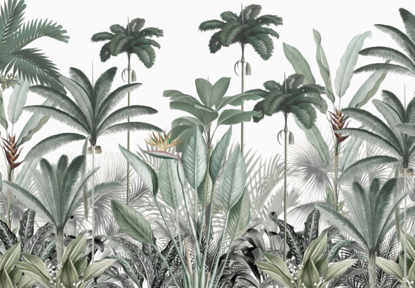 Un grup de plante cu flori Un grup de plante cu flori