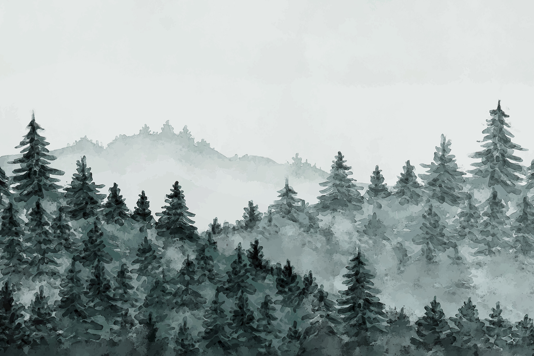 A foggy forest with trees