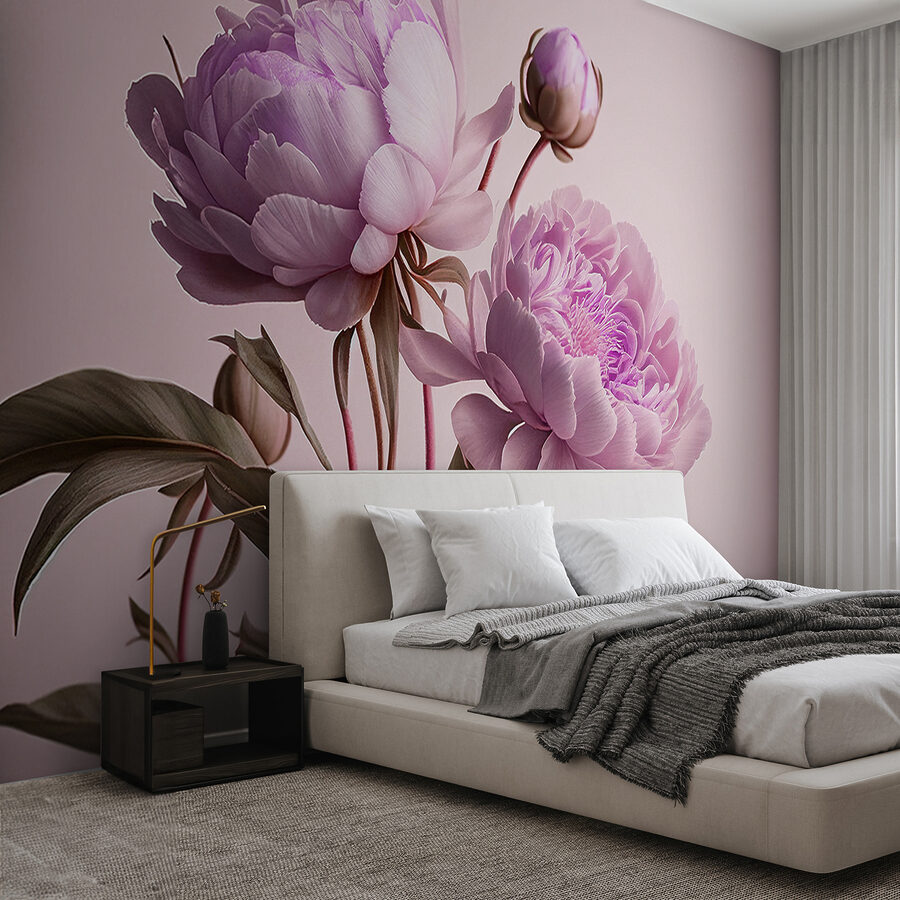 Bujori roz elegant în floare moale.