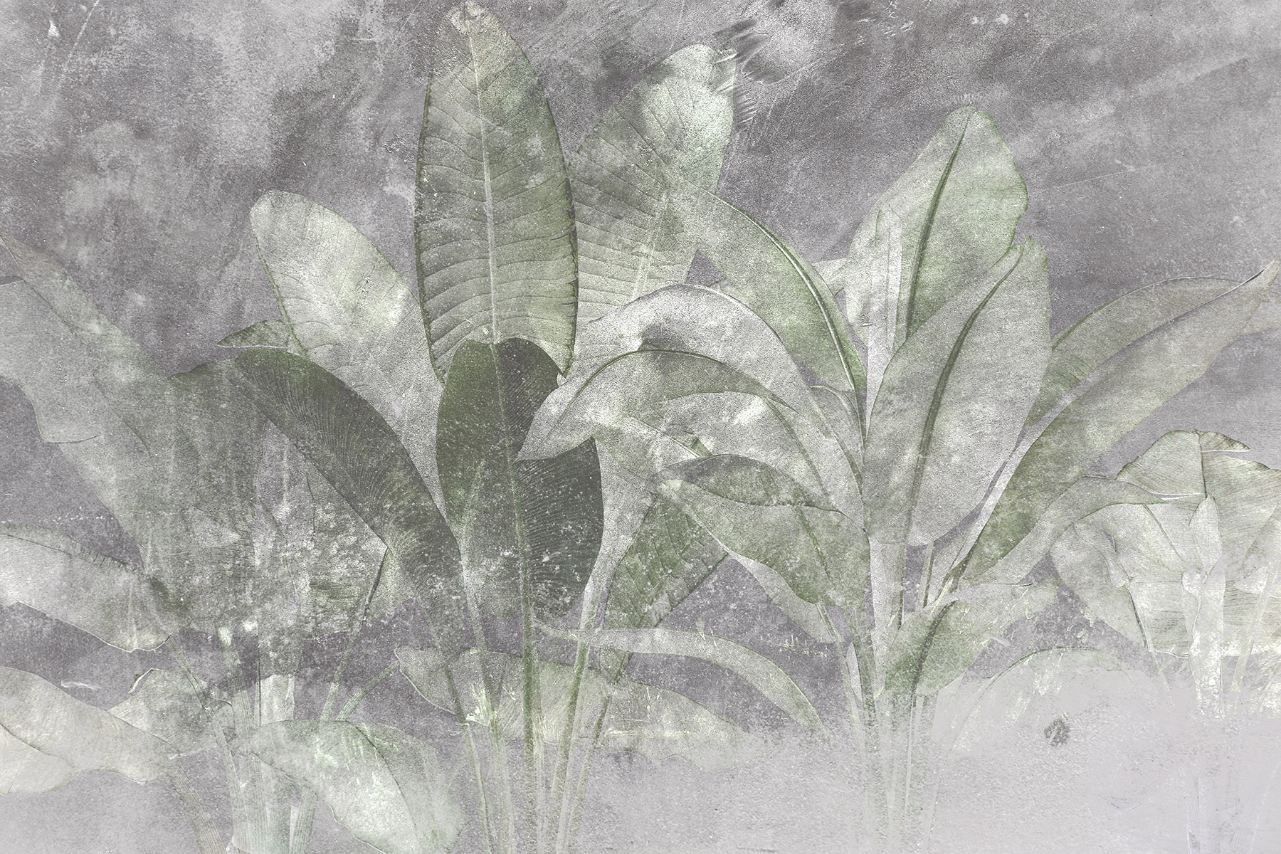 Botanical elegance in soft textures