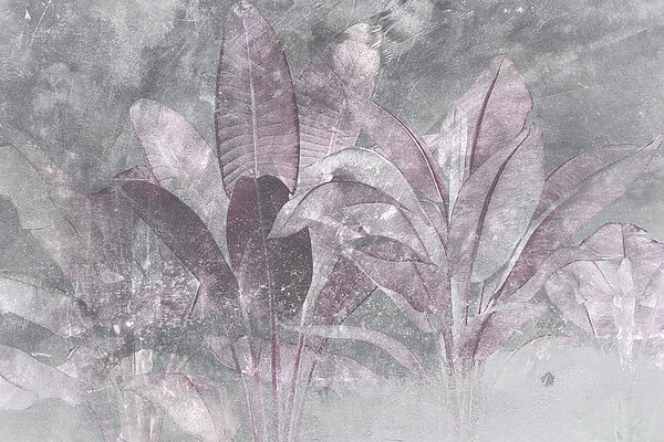 Subtle hues of nature's beauty