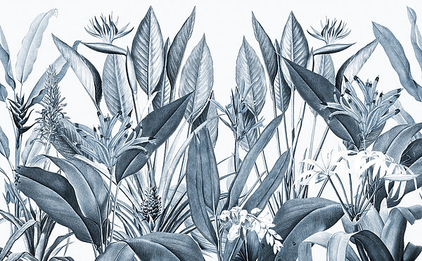 Frunziș tropical în nuanțe monocrome. Frunziș tropical în nuanțe monocrome.