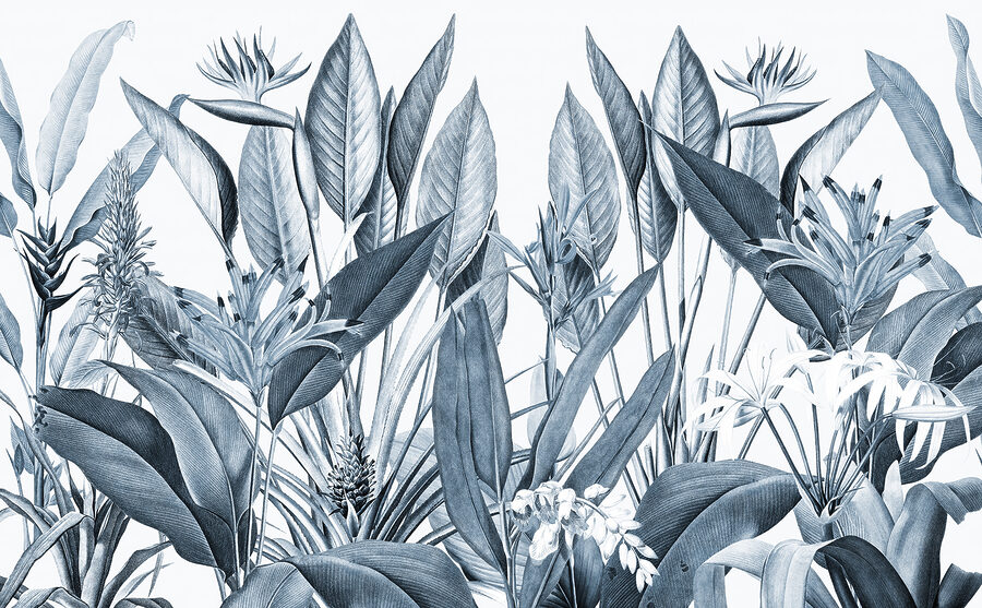 Frunziș tropical în nuanțe monocrome.