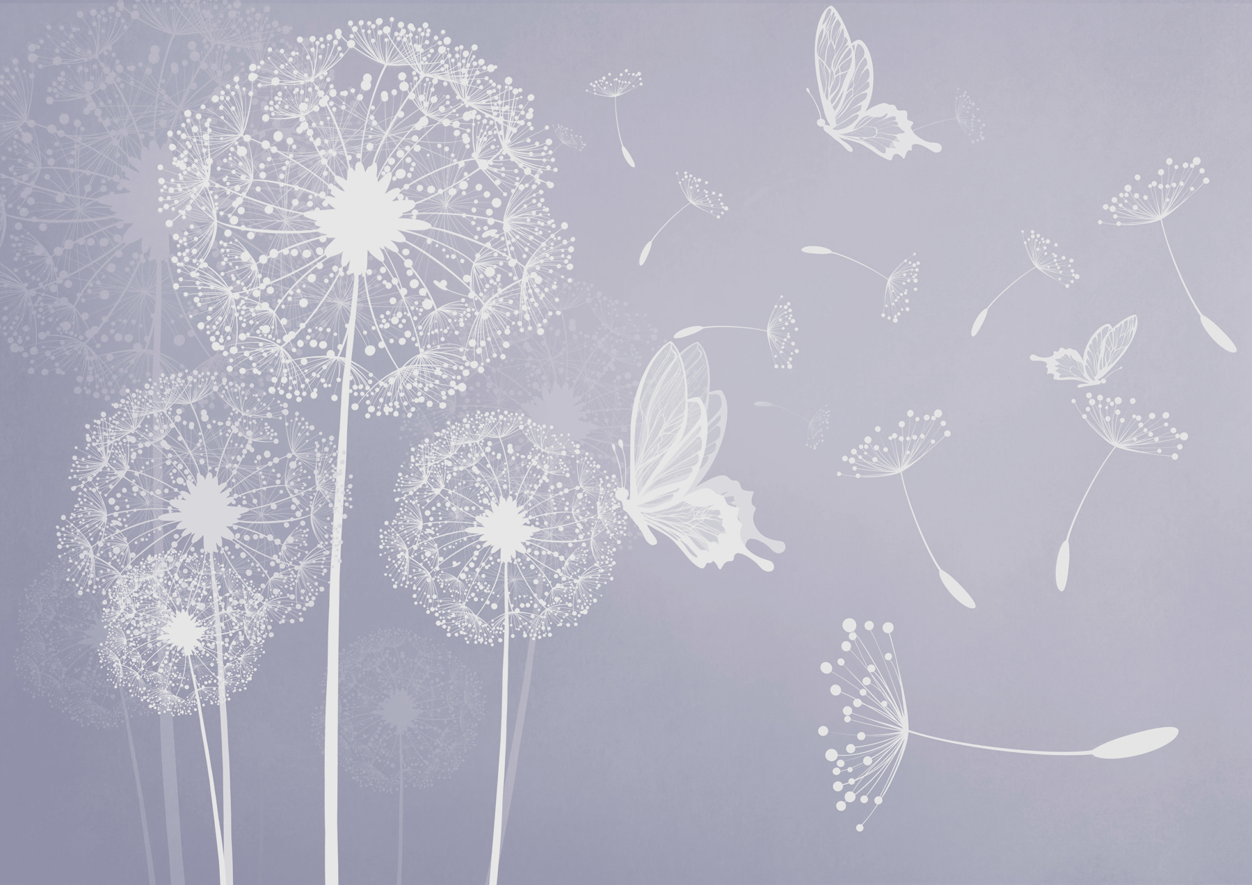 A white dandelions with butterflies flying A white dandelions with butterflies flying