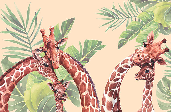 Un grup de girafe cu gâturi lungi Un grup de girafe cu gâturi lungi