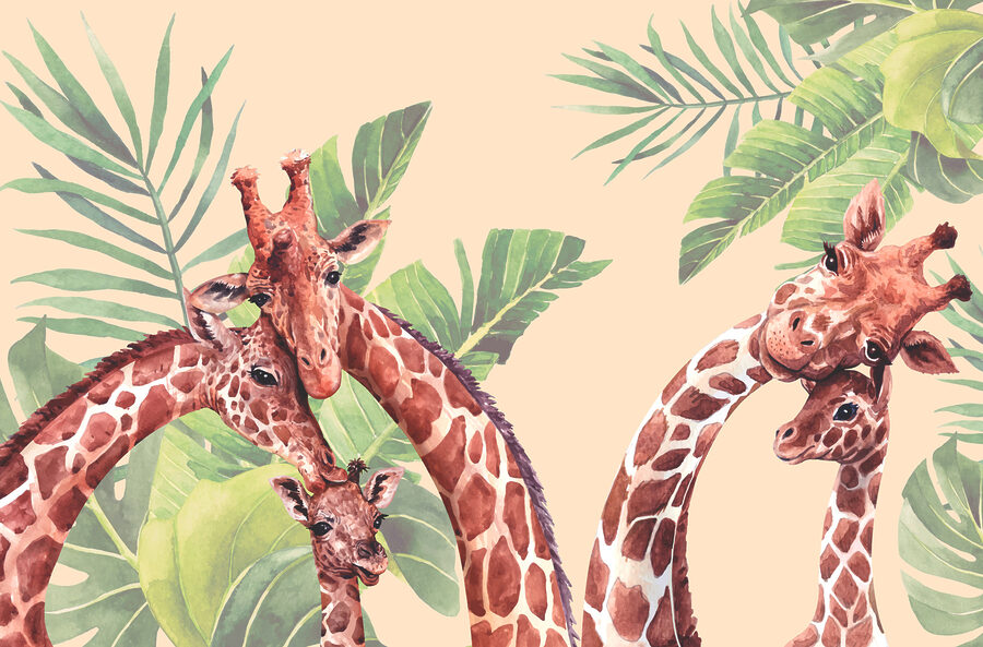 Un grup de girafe cu gâturi lungi