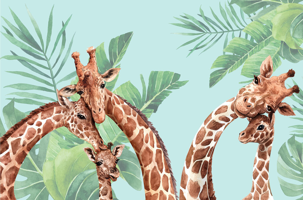Un grup de girafe cu capetele împreunate Un grup de girafe cu capetele împreunate
