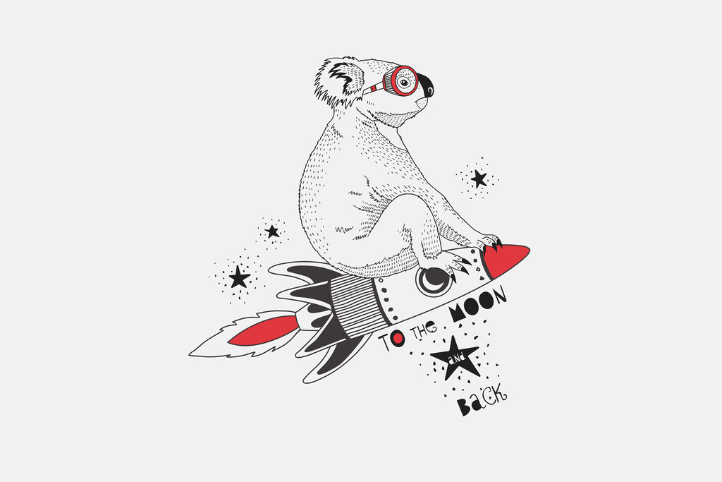 Un koala pe o rachetă Un koala pe o rachetă