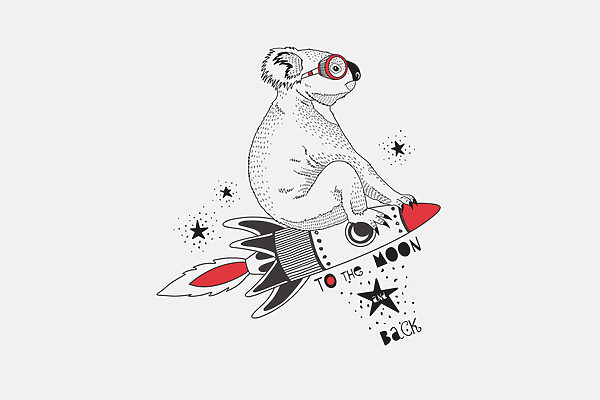 Un koala pe o rachetă Un koala pe o rachetă