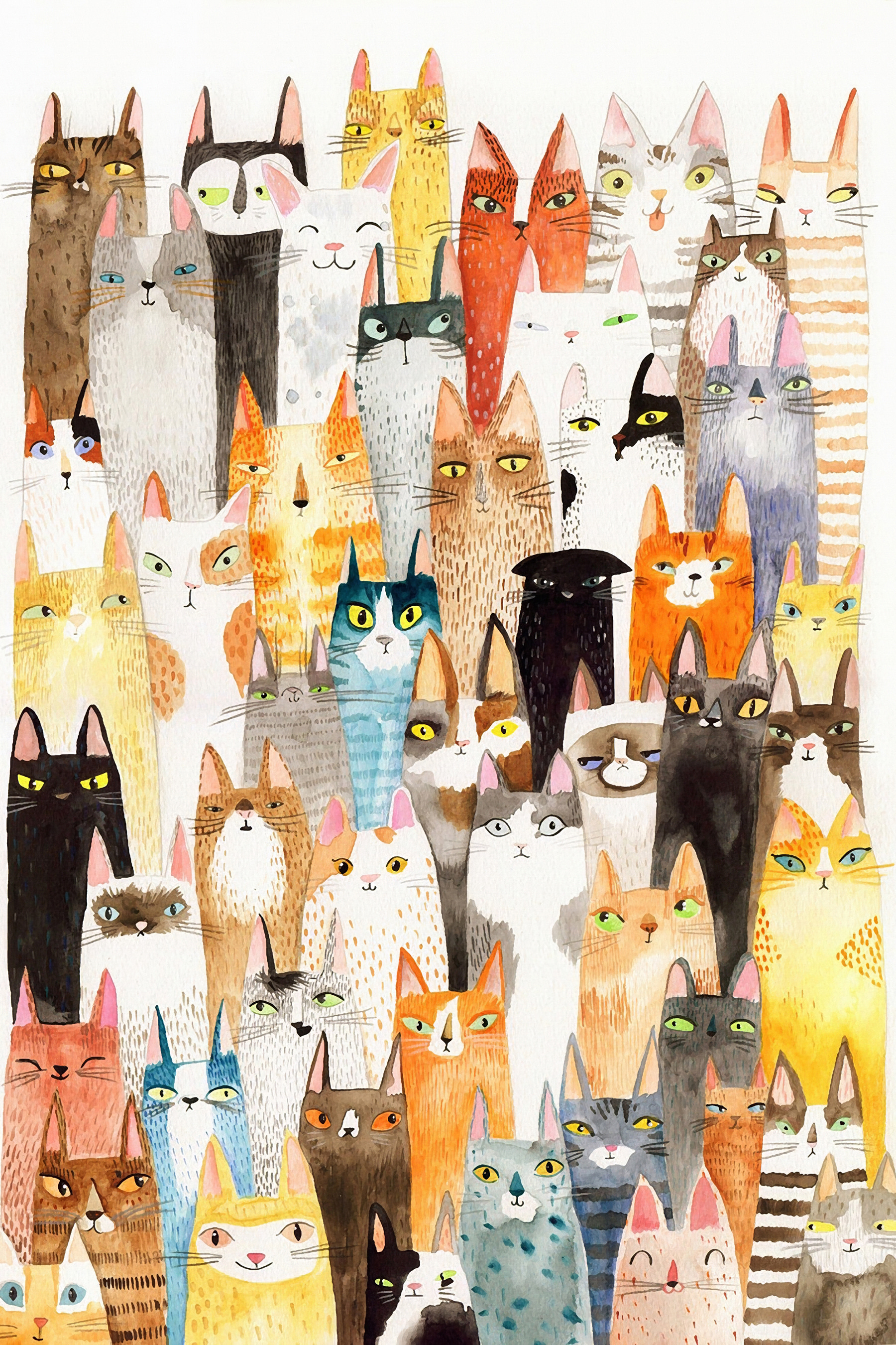 A group of cats in a large group A group of cats in a large group