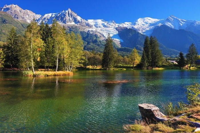 Un lac înconjurat de copaci și munți Un lac înconjurat de copaci și munți