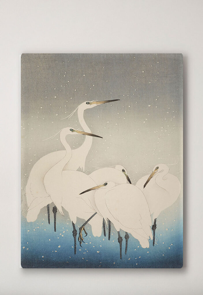 A group of white birds with long beaks
