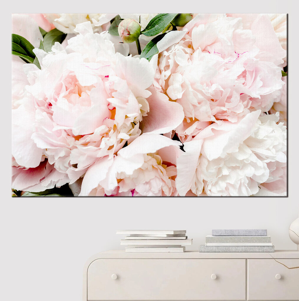 A group of pink flowers