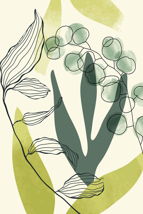 Desenul unei plante Desenul unei plante