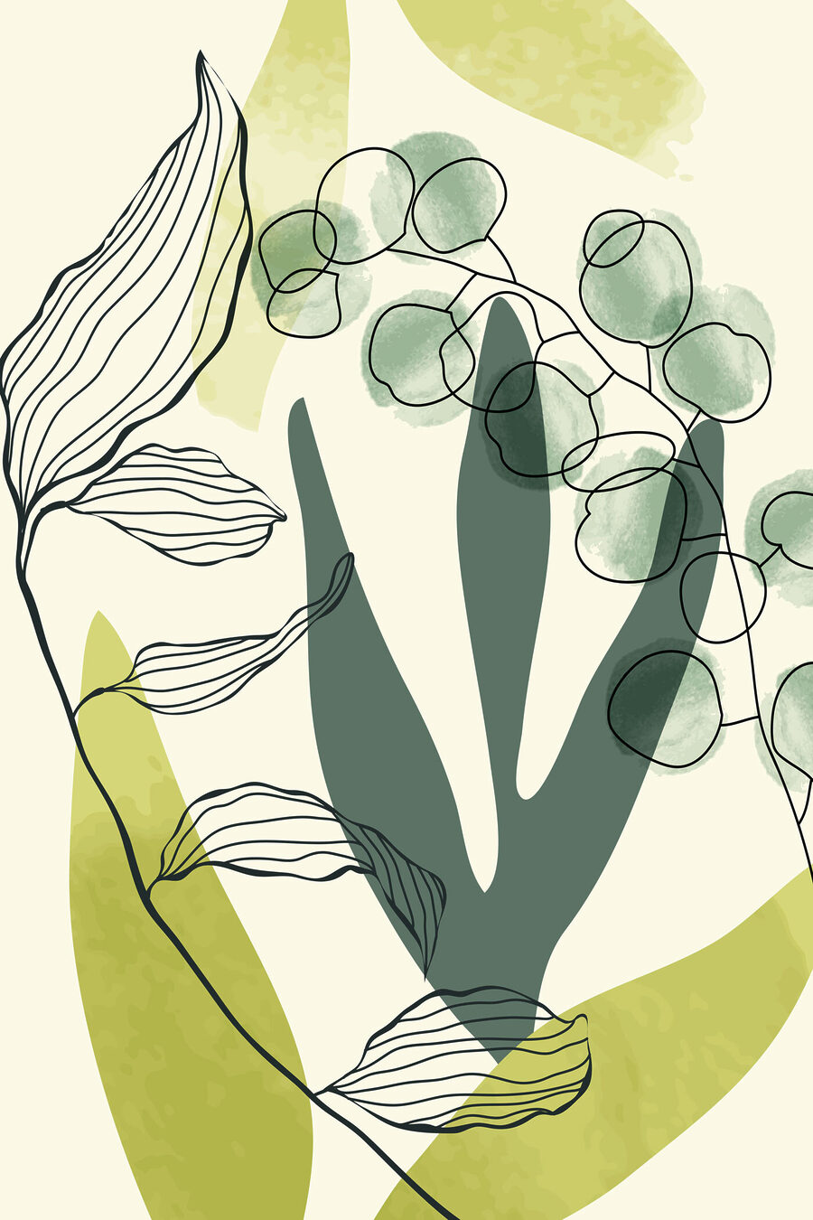 Desenul unei plante